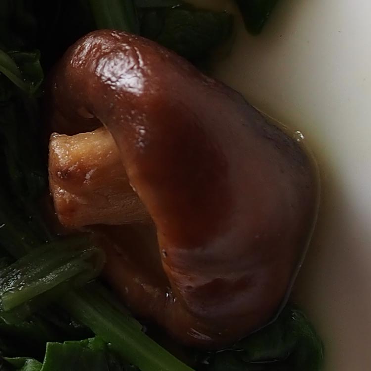 Shiitaki Mushrooms, Spinach and Halloumi The Worktop