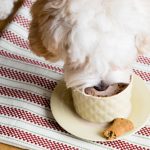 Peppermint Mocha Puppucino (Goat's Milk with Carob and Mint) | The Worktop